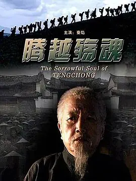 腾越殇魂[电影解说]海报