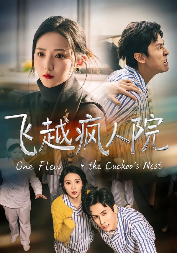 飞越疯人院海报