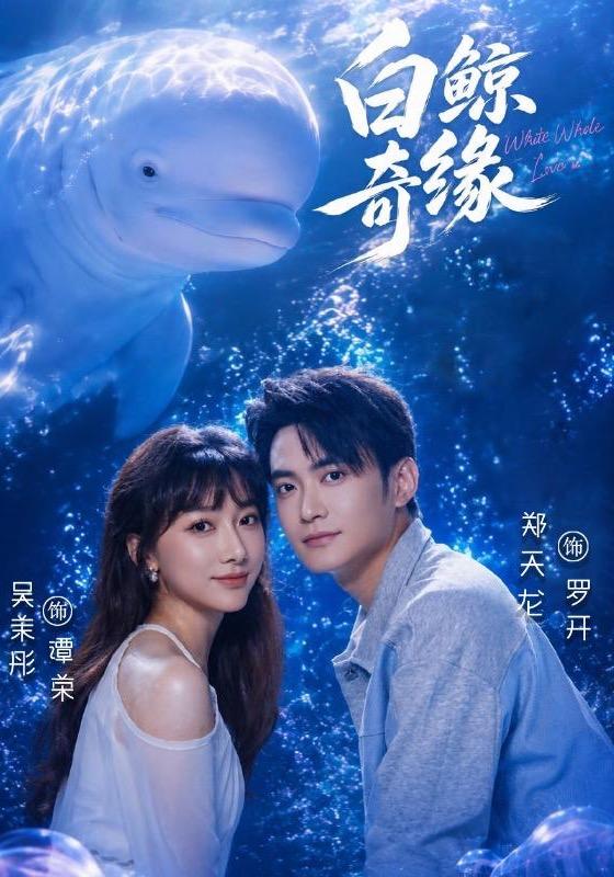 白鲸奇缘海报