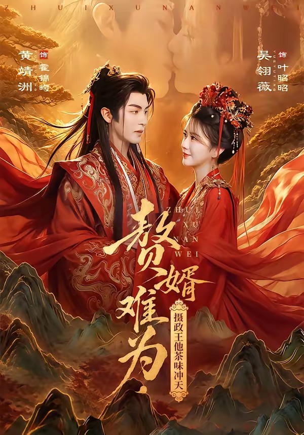 赘婿难为，摄政王他茶味冲天海报