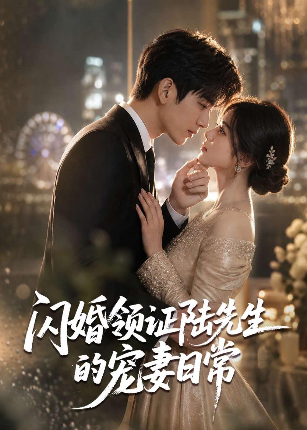 闪婚领证陆先生的宠妻日常海报