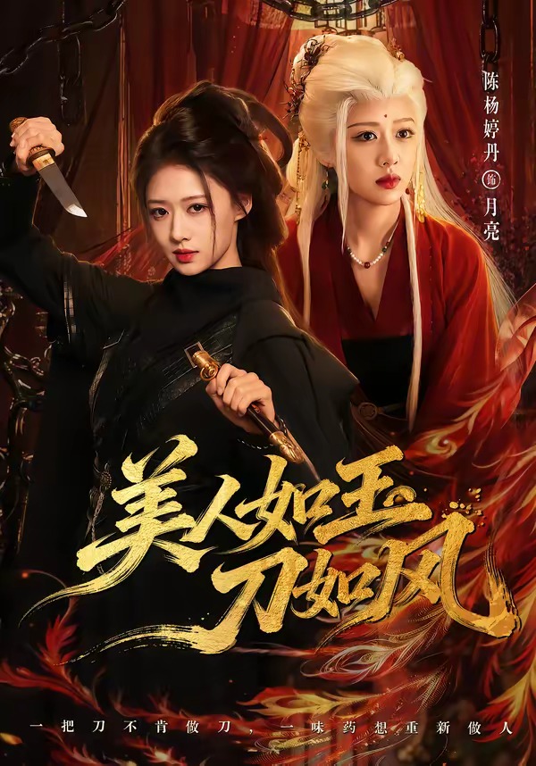 美人如玉刀如风海报