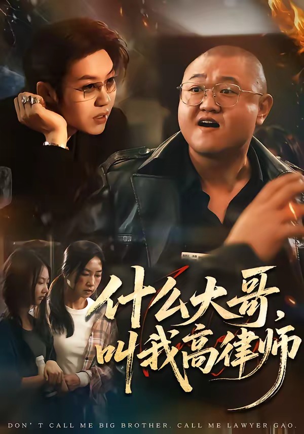 什么大哥，叫我高律师海报