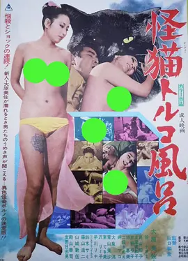 怪猫土耳其浴场[电影解说]海报