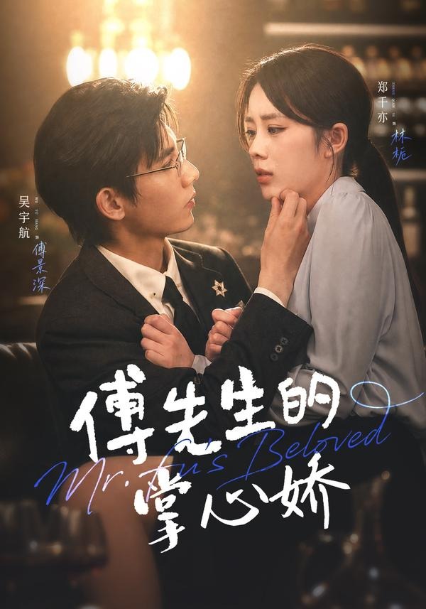 傅先生的掌心娇海报