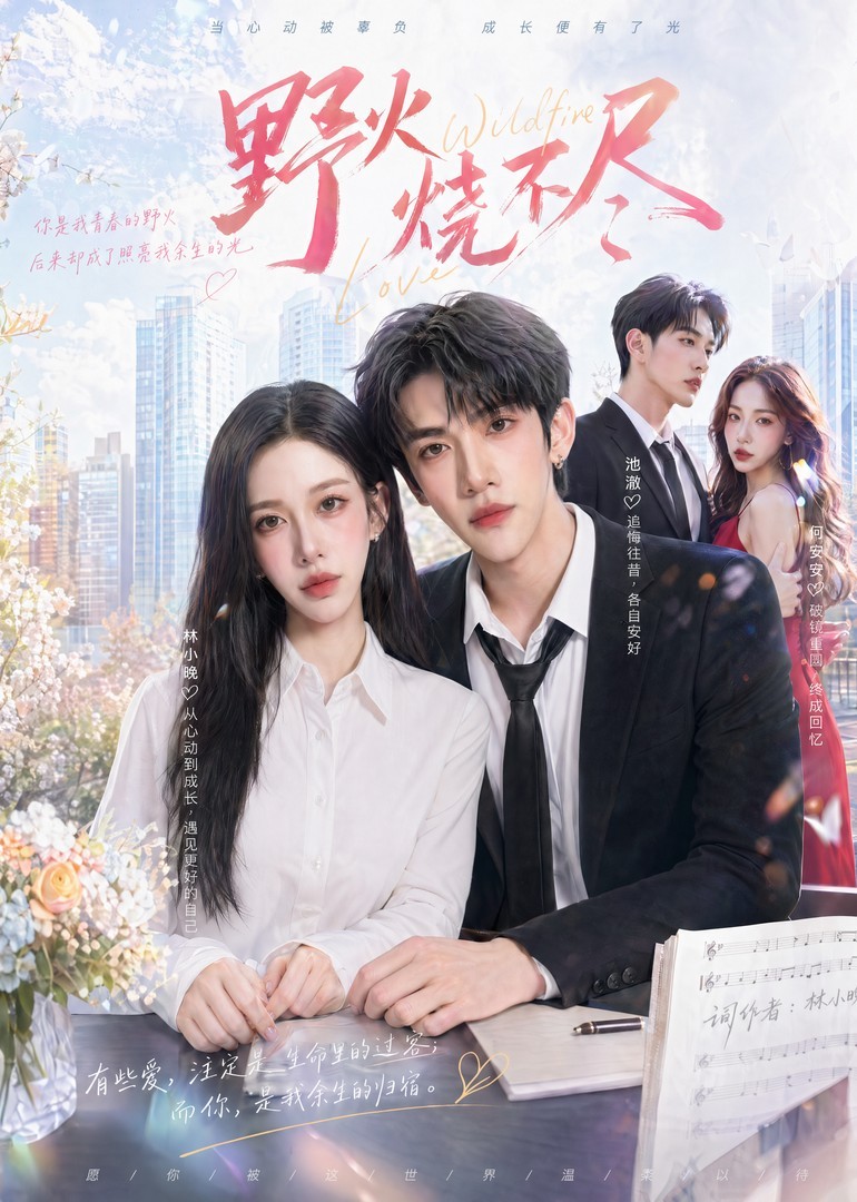 野火烧不尽海报