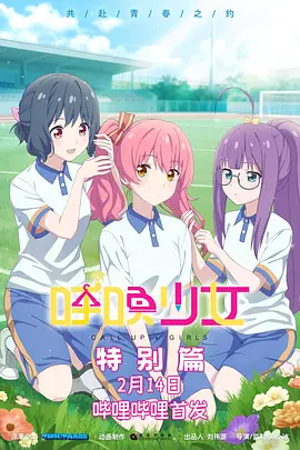 呼唤少女特别篇海报