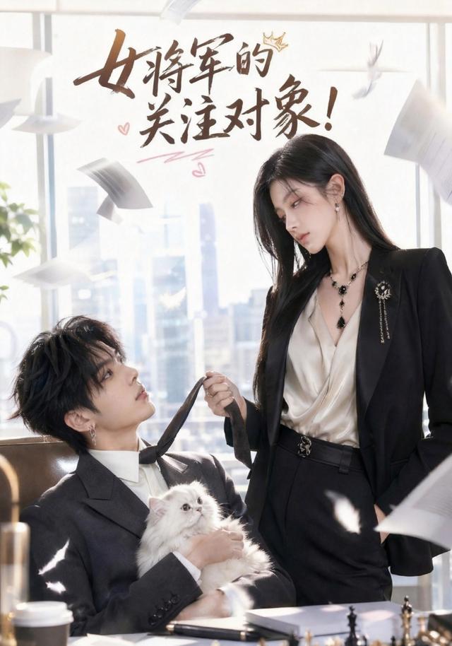 女将军的关注对象海报