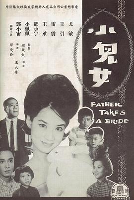 小儿女海报