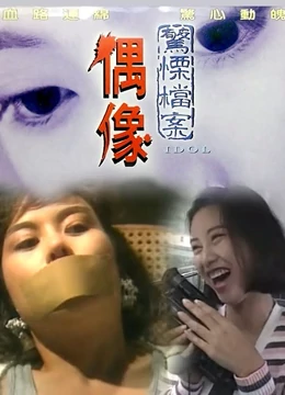 偶像1993海报