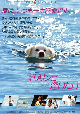 想见玛丽琳海报