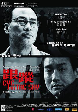 跟踪2007海报