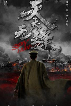 天衣无缝秦俊杰版海报