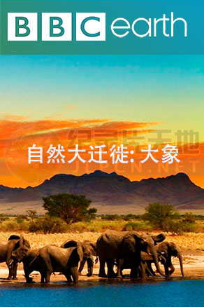 自然大迁徙海报