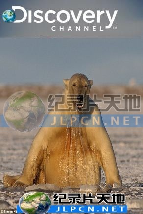 动物绝技大公开海报