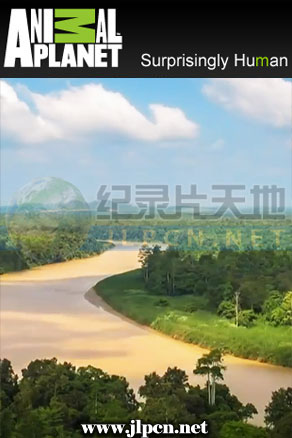 东方亚马逊海报