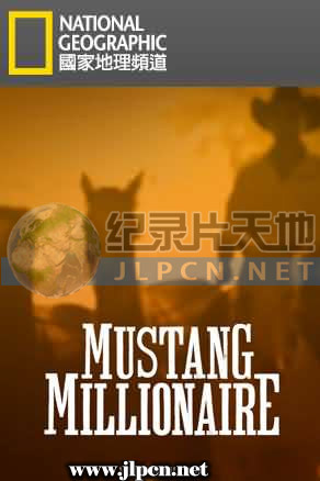 百万驯马大赛海报