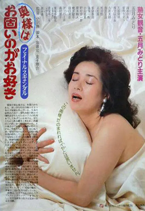 丑闻夫人海报