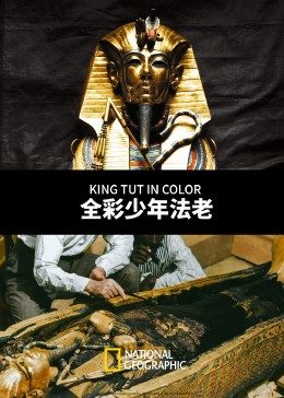 全彩少年法老海报