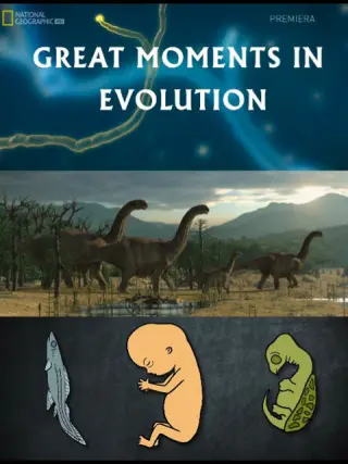 进化的伟大时刻海报