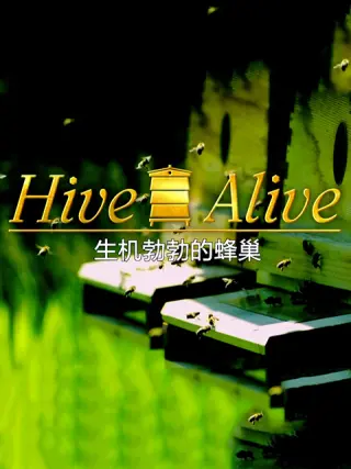 生机勃勃的蜂巢海报