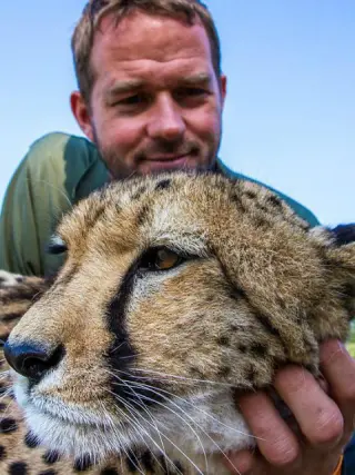 屋中大猫海报