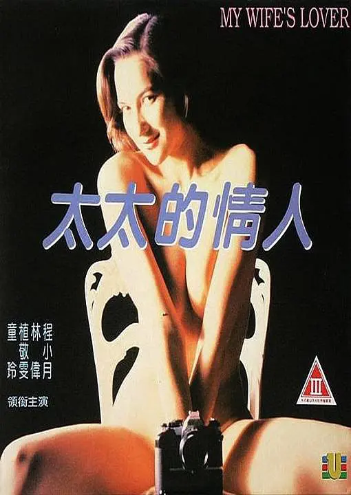 太太的情人1992海报