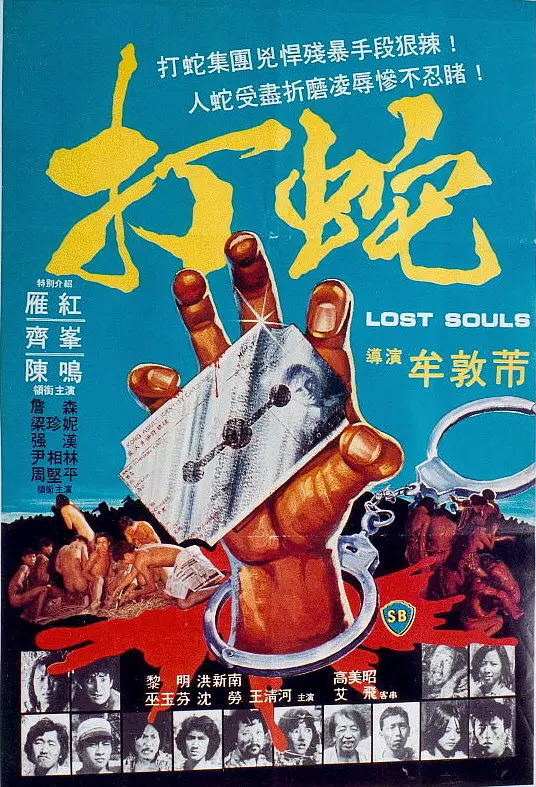 打蛇1980海报