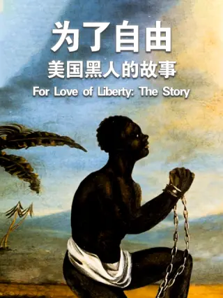 为了自由：美国黑人的故事海报