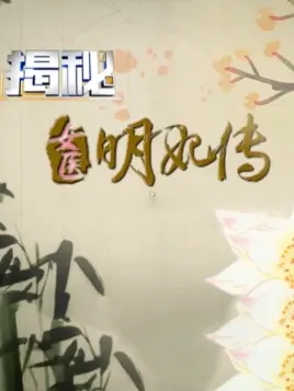 揭秘明妃传海报