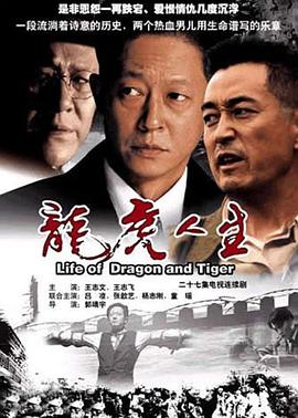 龙虎人生王志文版海报