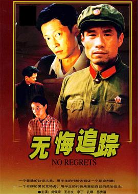 无悔追踪王志文版海报