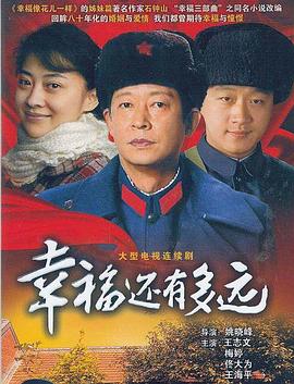 幸福还有多远王志文版海报