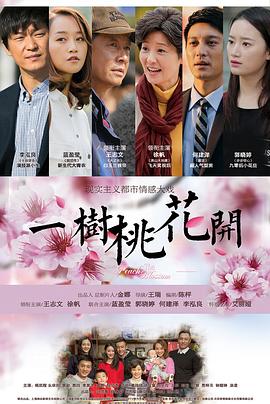 一树桃花开王志文版海报