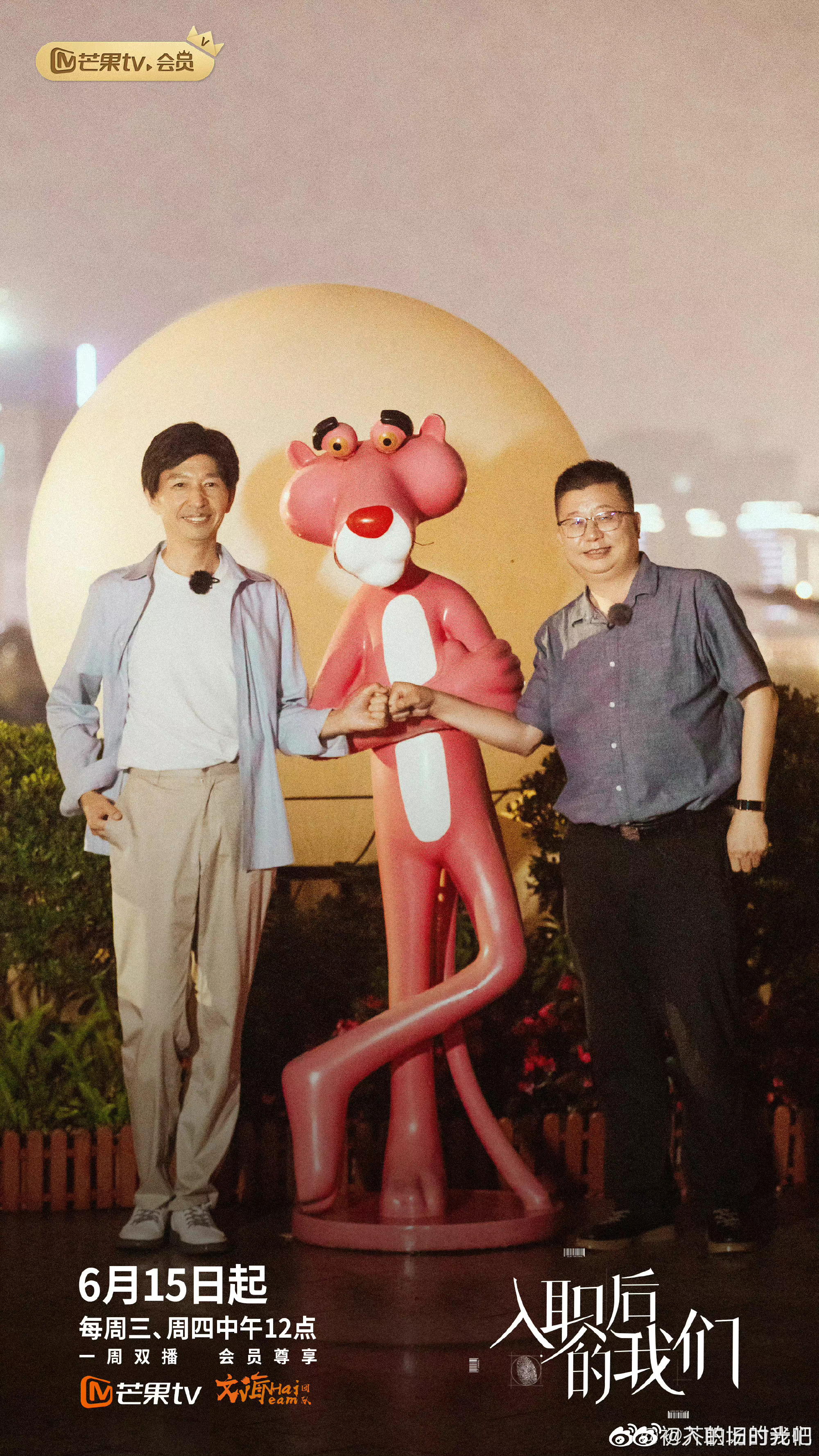入职后的我们海报