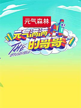 元气满满的哥哥海报