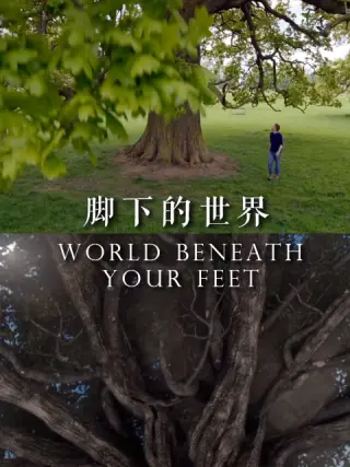 脚下的世界海报
