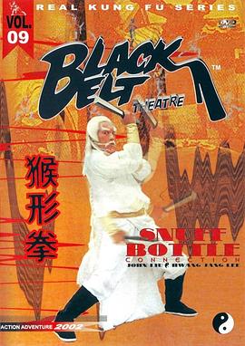 神腿铁扇功海报