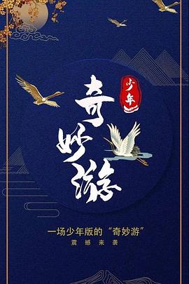 少年奇妙游海报