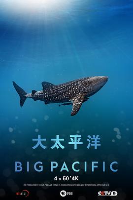 大太平洋海报
