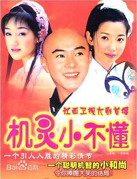 机灵小不懂国语海报