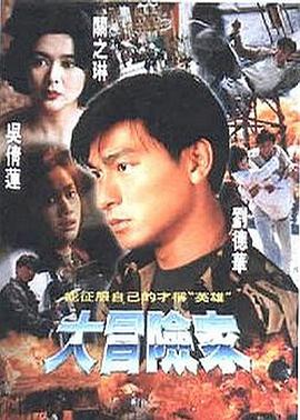 大冒险家1995海报