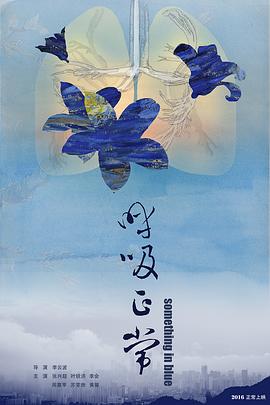 呼吸正常2016海报