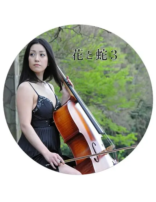 花与蛇3海报