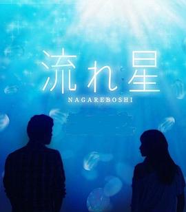 流星海报