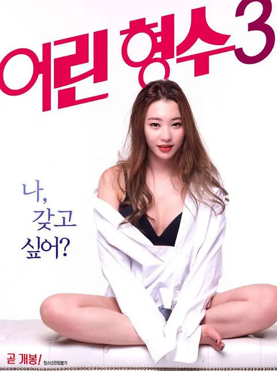 年轻的嫂子3海报