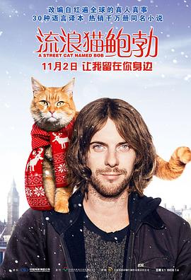 流浪猫鲍勃[探长解说]海报
