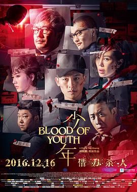 少年2016海报