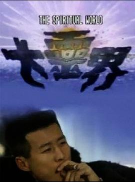 大灵界国语海报