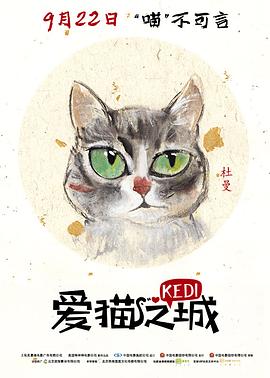 爱猫之城英语海报